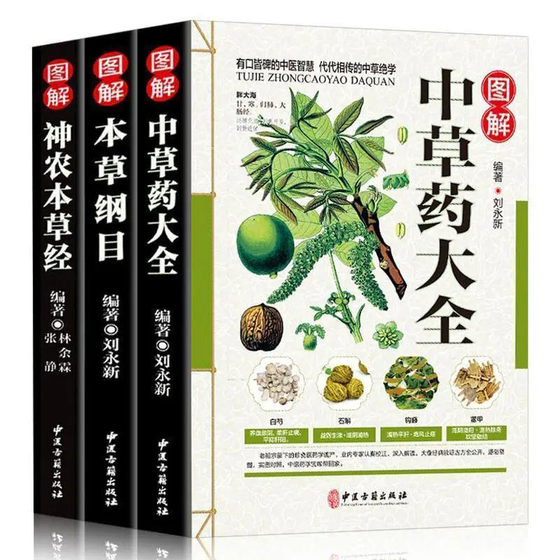 Chinese Herbal Joint Pain Ointment - 3 Bottles