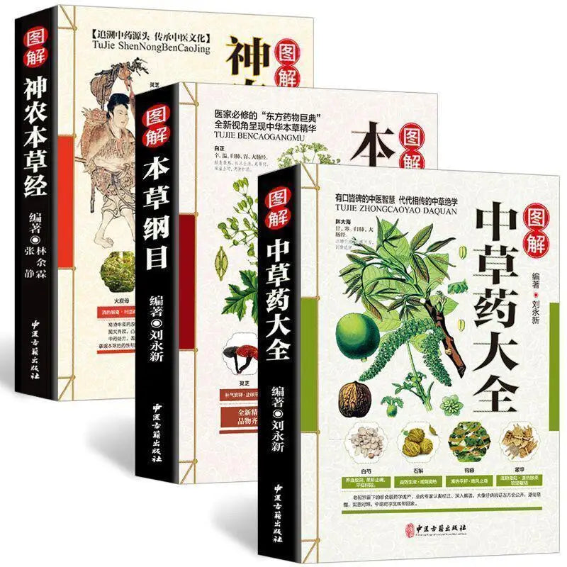 Chinese Herbal Joint Pain Ointment - 3 Bottles