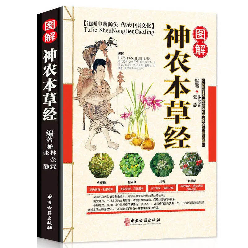 Chinese Herbal Joint Pain Ointment - 3 Bottles